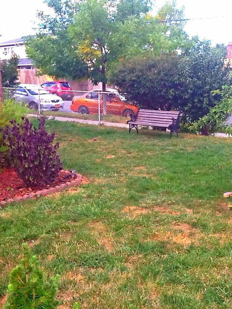 Jfk Bed And Breakfast Guesthouse Ню Йорк Екстериор снимка